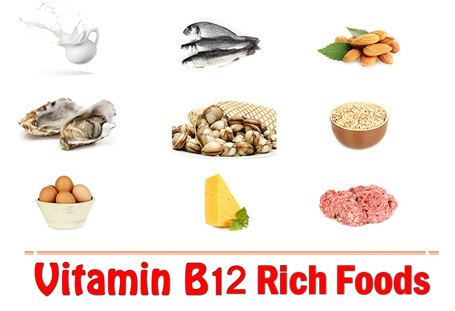  B 12 VİTAMİN KAYNAKLARI